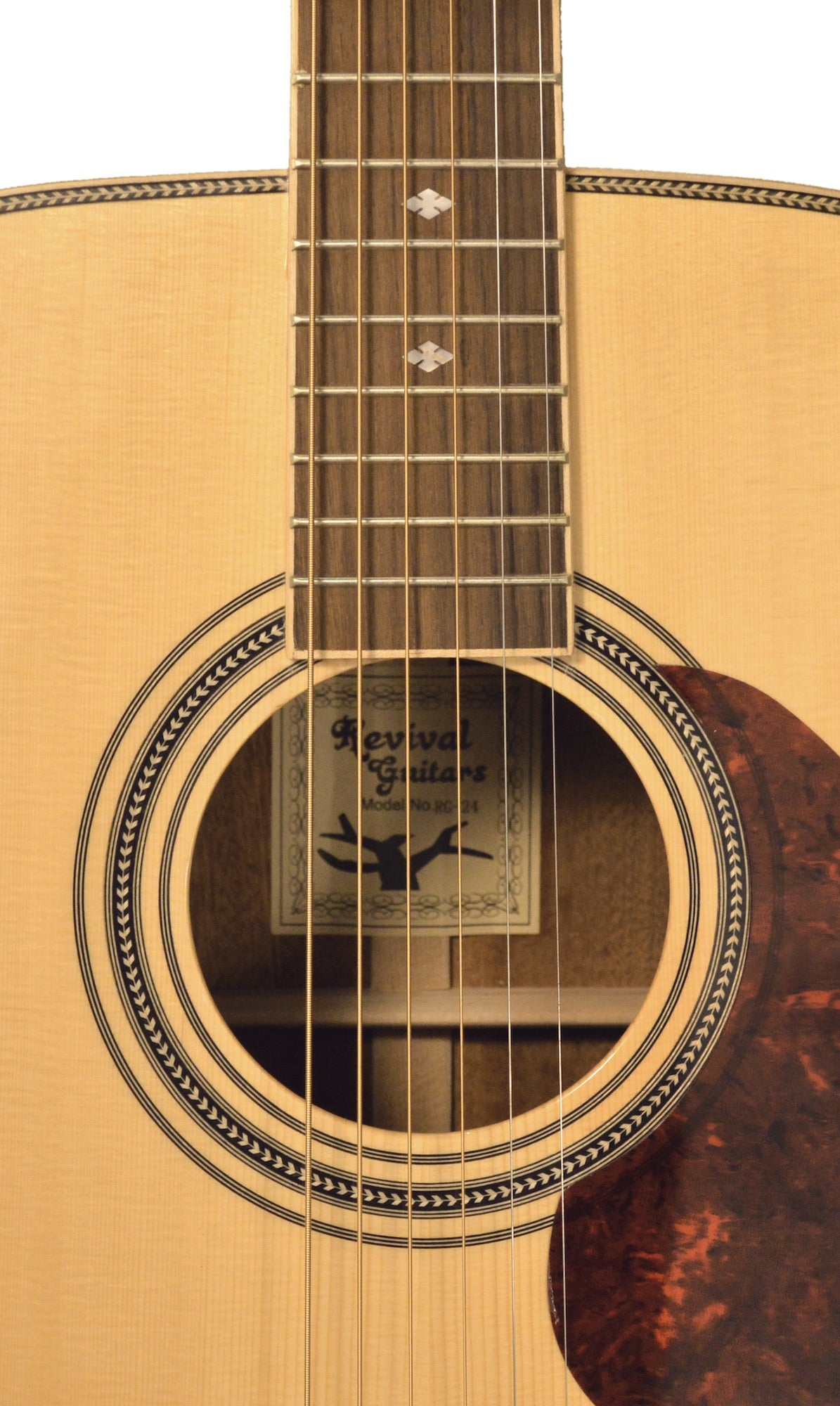 Revival RG-24 Glossy Solid Spruce Black Walnut Dreadnought Guitar