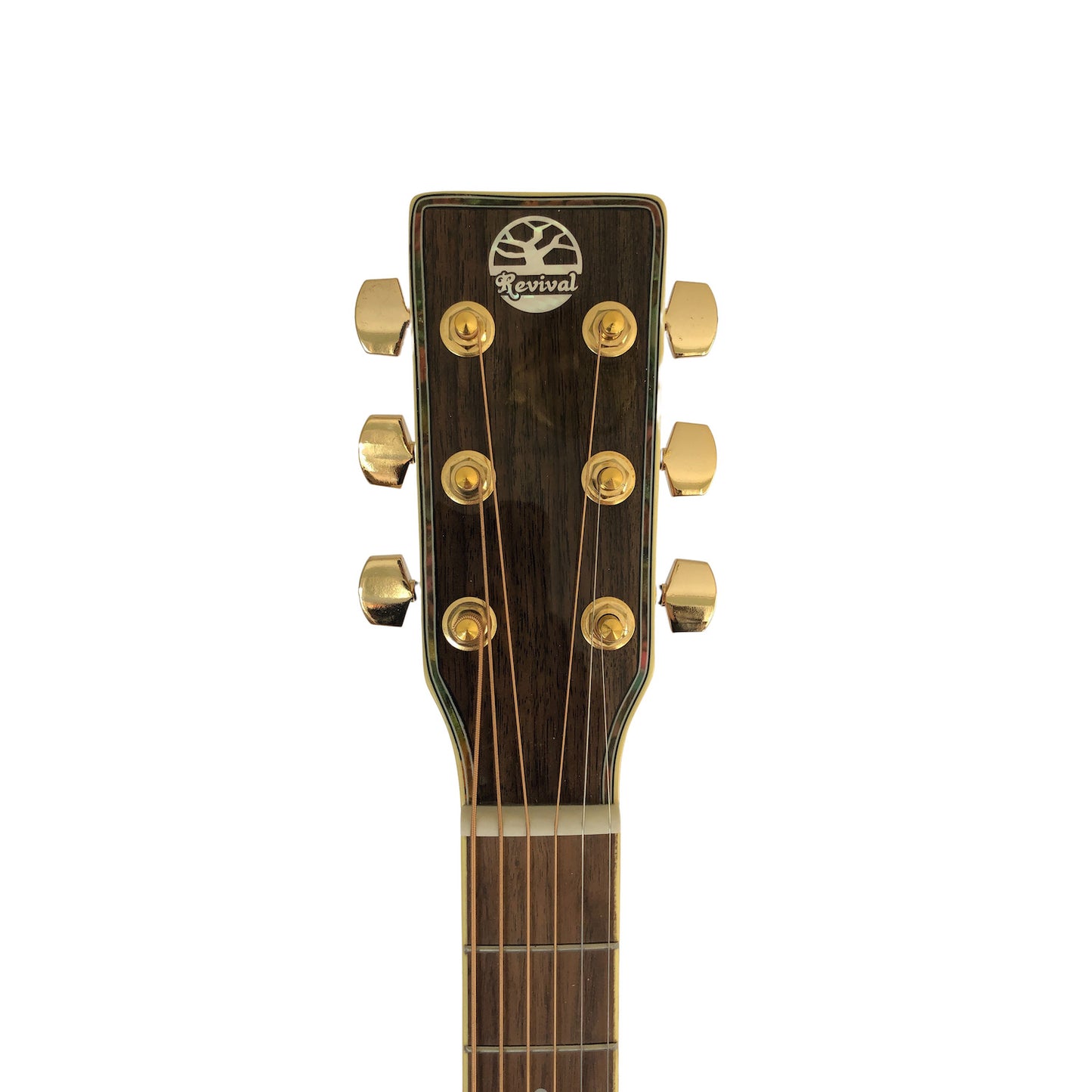 Revival RG-12 Dreadnought Guitar, Spruce, Black Walnut