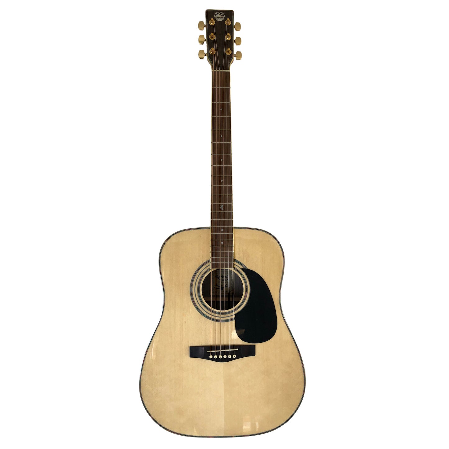 Revival RG-12 Dreadnought Guitar, Spruce, Black Walnut