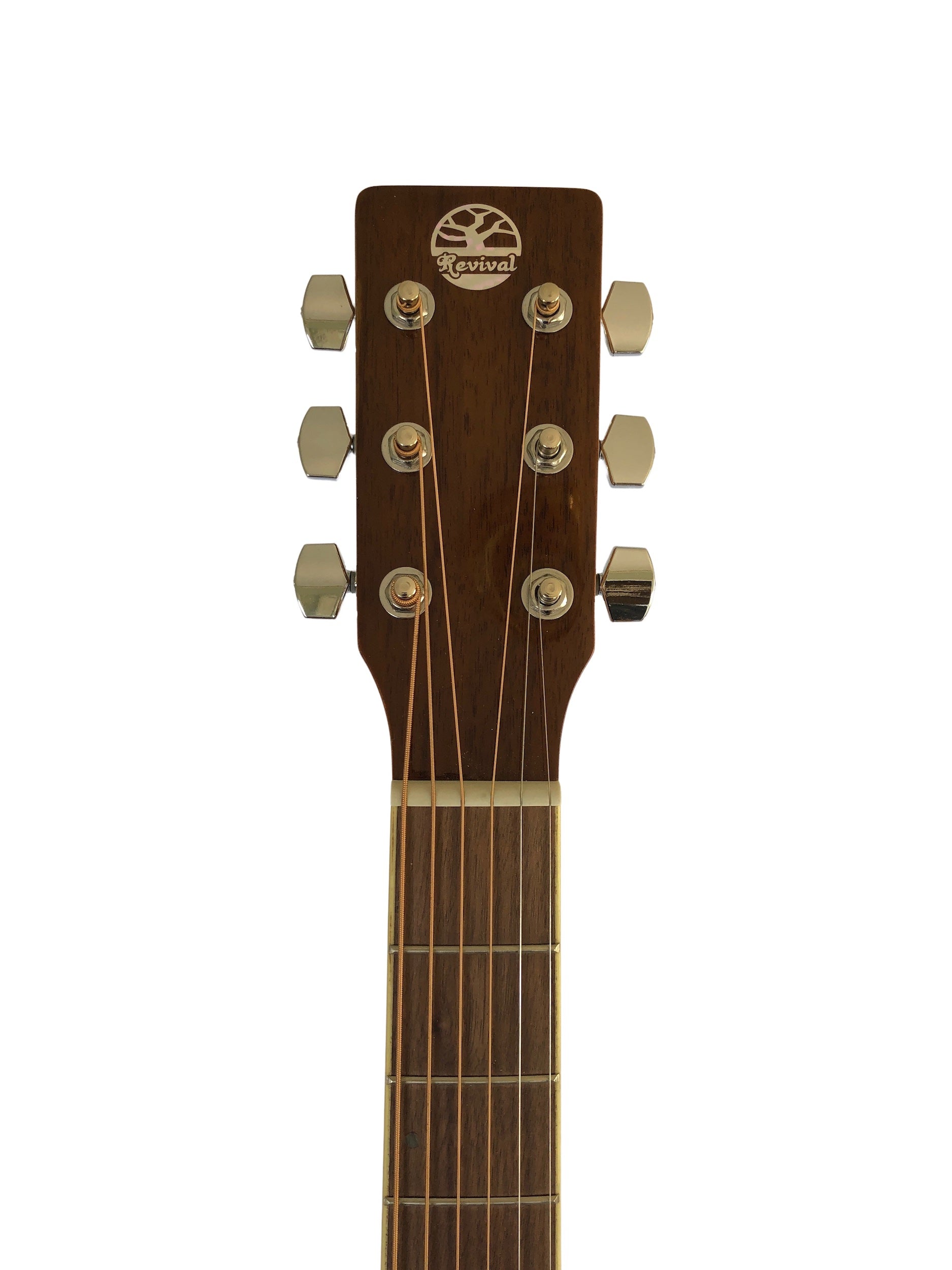 Photo of the headstock of the Revival rg-25 acoustic guitar.